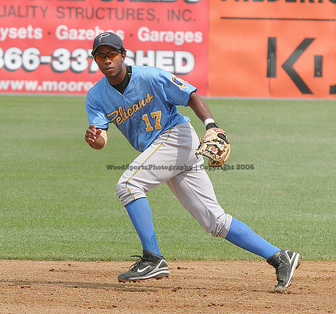 Andrus Elvis (wood) 21