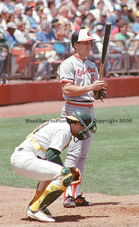 Cal Ripken 12