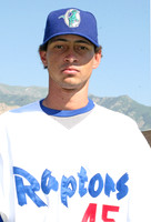 Ogden 2008