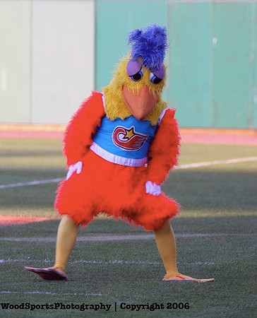 The Famous Chicken 20