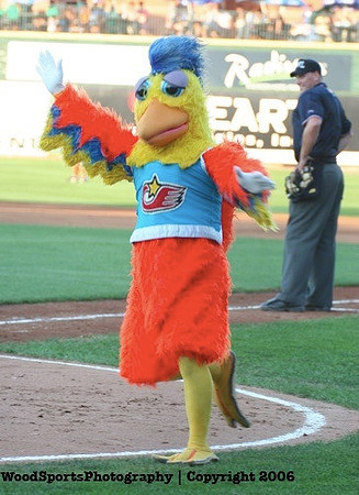 The Famous Chicken 12