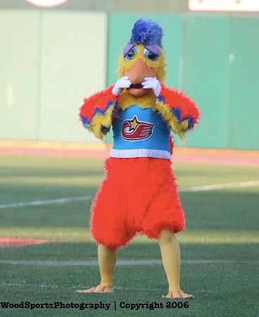 The Famous Chicken 28