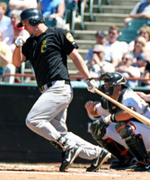 New Hampshire Fischer Cats 2008