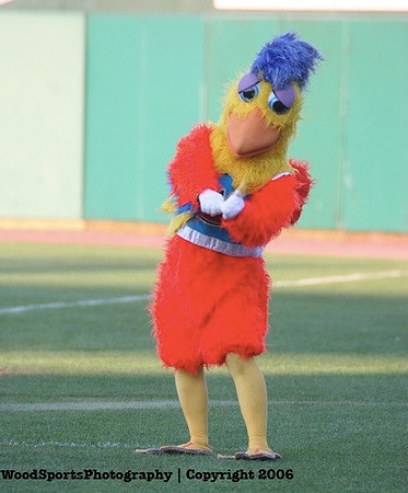The Famous Chicken 32