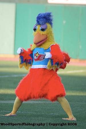 The Famous Chicken 25