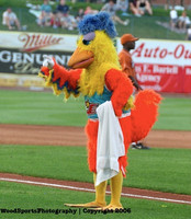 San Diego Chicken