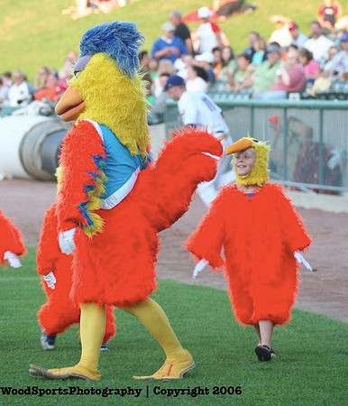 THe Famous Chicken 37