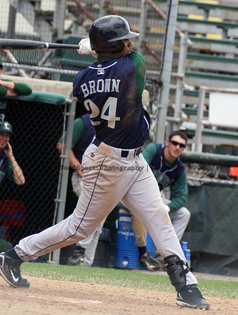 Brown Steve (wood) 239.jpg