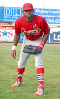 Johnson City Cardinals 2008