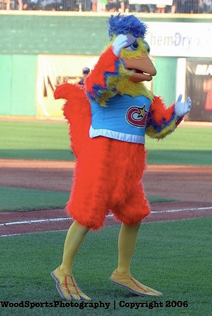 The Famous Chicken 4