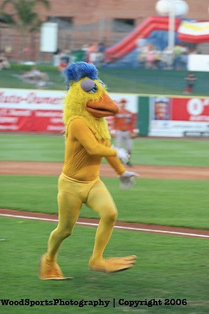 The Famous Chicken 121