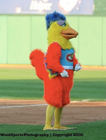 The Famous Chicken 19