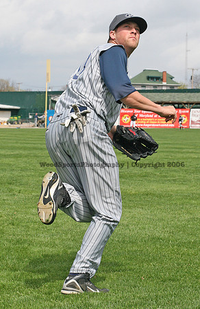 Brown Matt (wood) 310.jpg