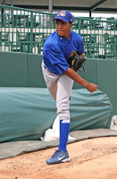 Peoria 2008
