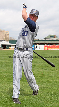 Brown Matt (wood) 303.jpg
