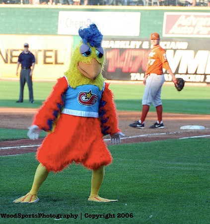The Famous Chicken 3