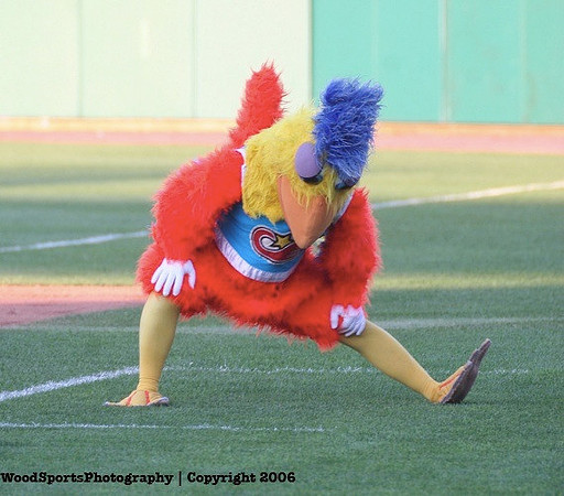 The Famous Chicken 22