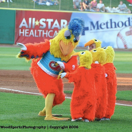 The Famous Chicken 46
