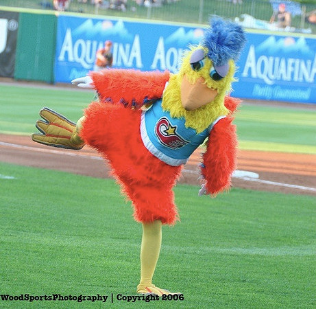 The Famous Chicken 16