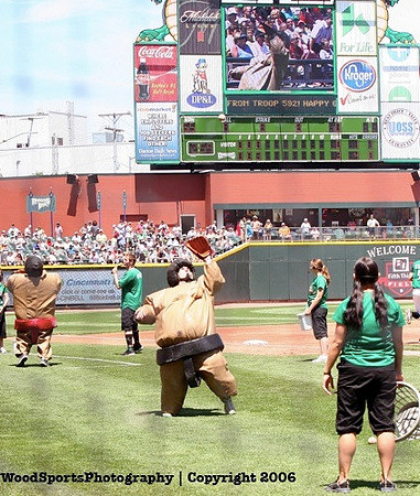 Fifth Third Field 17