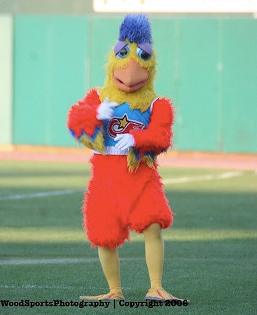 The Famous Chicken 31