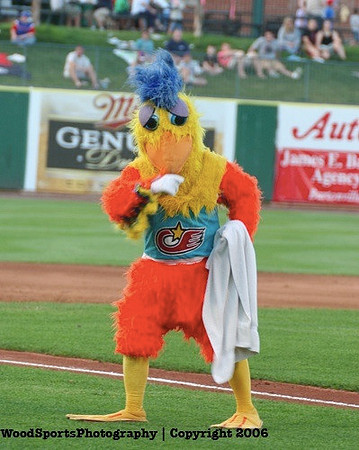 The Famous Chicken 109