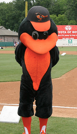 Orioles Bird at Louie Birthday Party 1