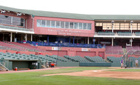 Delmarva Shorebirds 2008