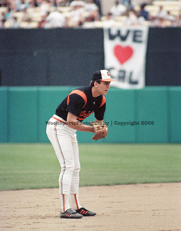 Cal Ripken 7