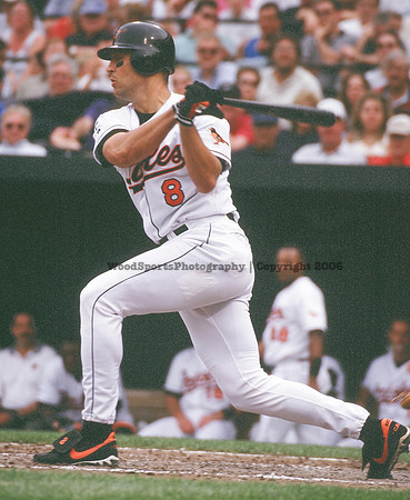 Cal Ripken 31
