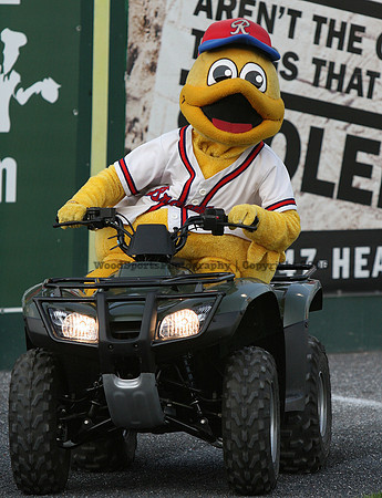 Diamond Duck 6