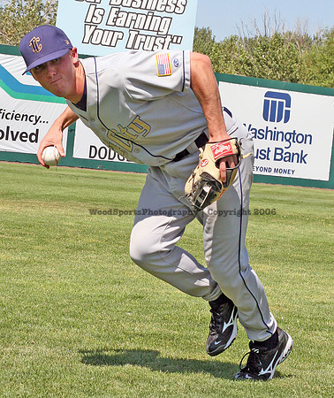 Bowman Brent (wood) 3.jpg