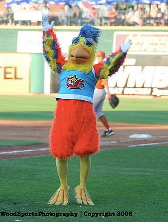 The Famous Chicken 2