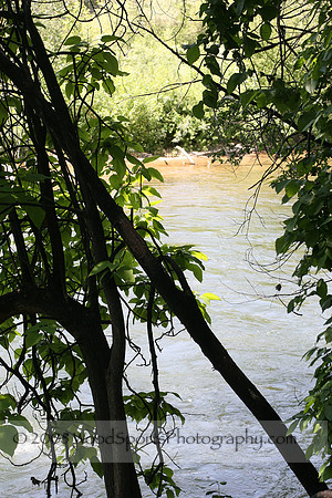 Boise River 1.jpg