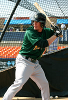 Lynchburg Hill Cats 2008