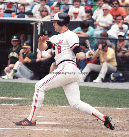 Cal Ripken 18