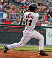 Hagerstown Suns 2009