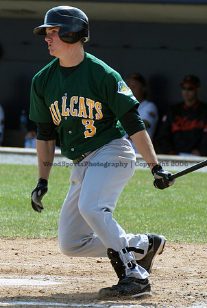 Friday Brian (wood) 509.jpg