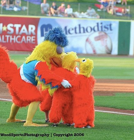 THe Famous Chicken 44