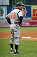 Erie Sea Wolves 2008