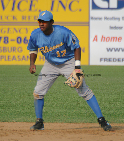Andrus Elvis (wood) 60