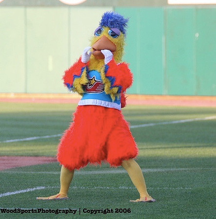 The Famous Chicken 36