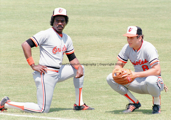 Cal Ripken 6